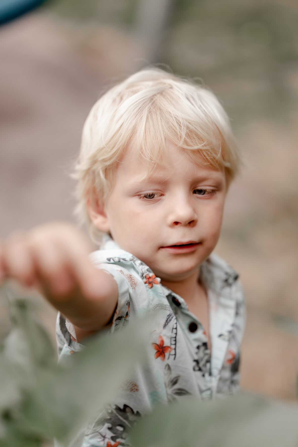 BILDLICH.GESAGT — Fotografie von Linda Tepaskent